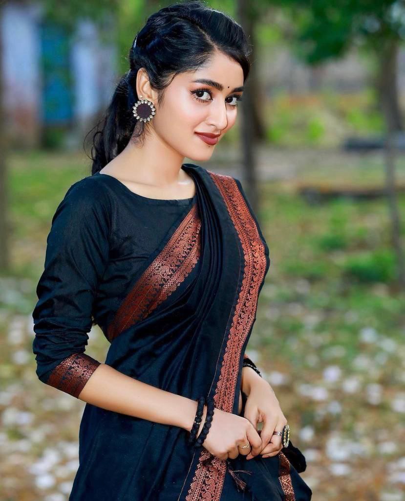Classic Black Silk Blend Saree with Copper Woven Border and Striped Pallu